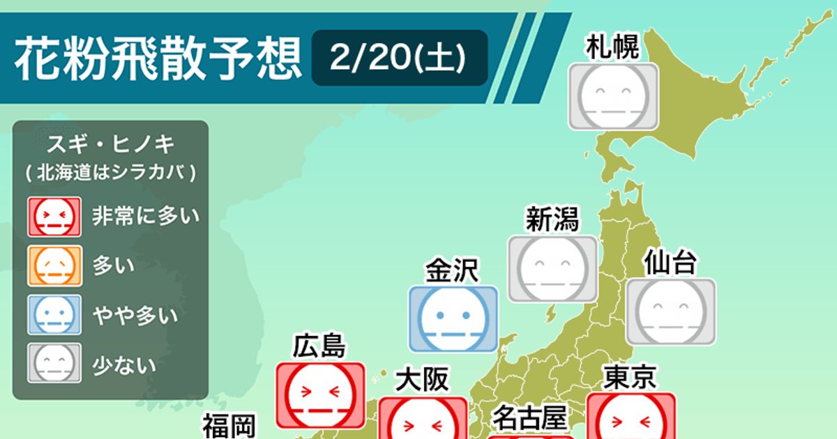 【花粉予測】 2月20日、東京や大阪など広範囲で大量飛散の恐れ...。気温上昇と強風をうけ