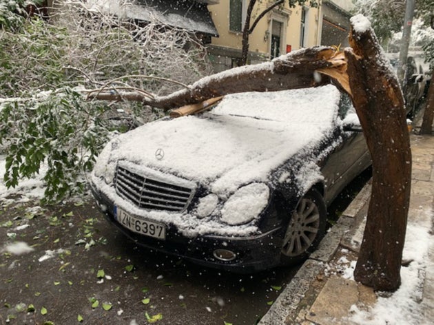 Πτώση δέντρου στην οδό Νίκης στο Κέντρο της Αθήνας.