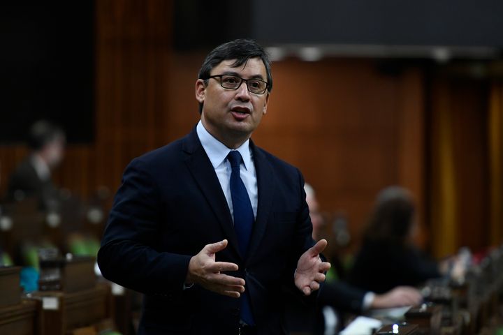 Conservative MP Michael Chong rises in the House of Commons on Dec. 10, 2020.
