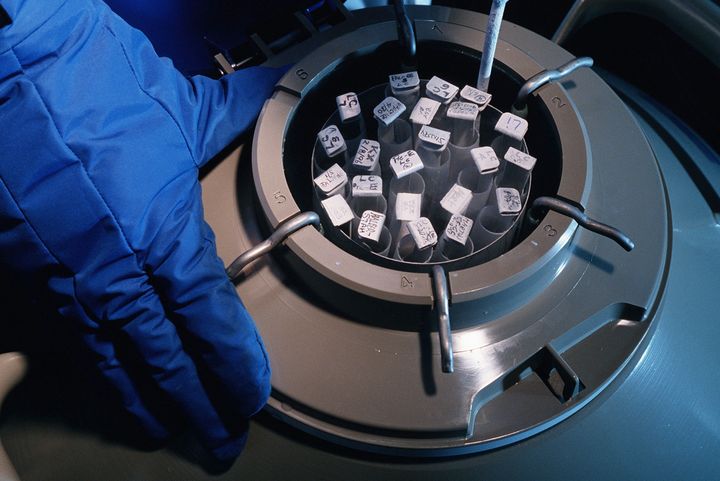 Frozen embryos at a lab in New York.