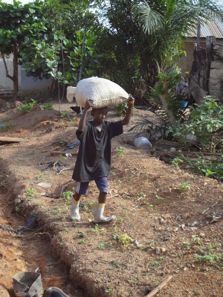 ガーナのカカオ農園で働く子ども