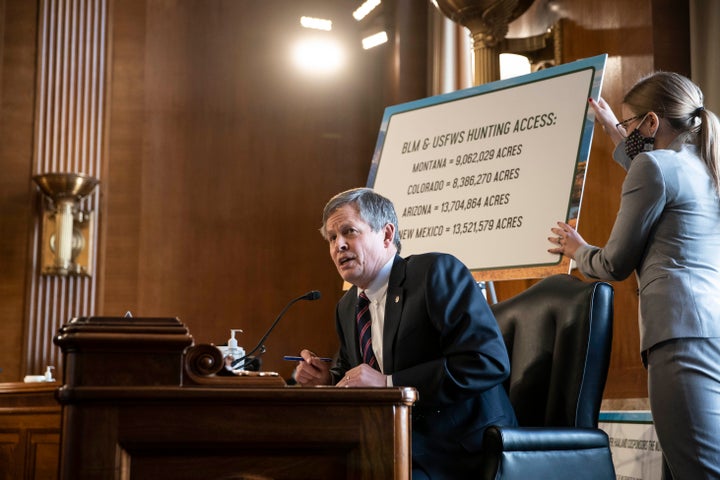 Sen. Steve Daines (R-Mont.) speaks during Interior Secretary nominee Deb Haaland's confirmation hearing before the Senate Com