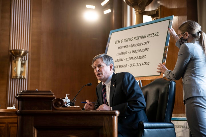 Sen. Steve Daines (R-Mont.) speaks during Interior Secretary nominee Deb Haaland's confirmation hearing before the Senate Committee on Energy and Natural Resources.