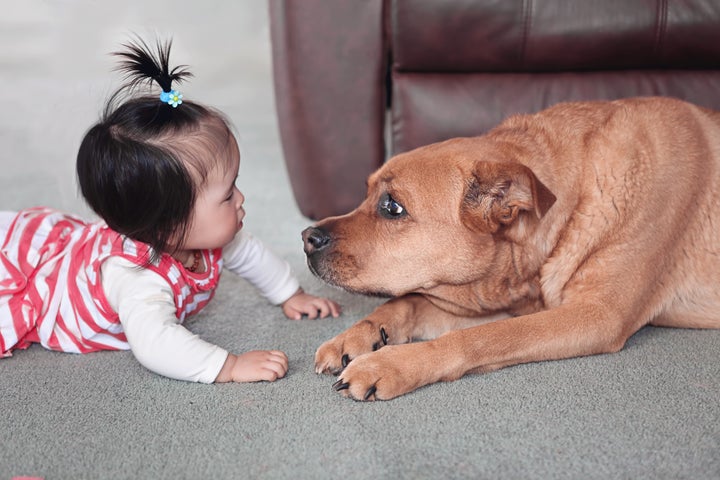 We don't know if the dog is named Max, but it's clearly a very good boy or girl.