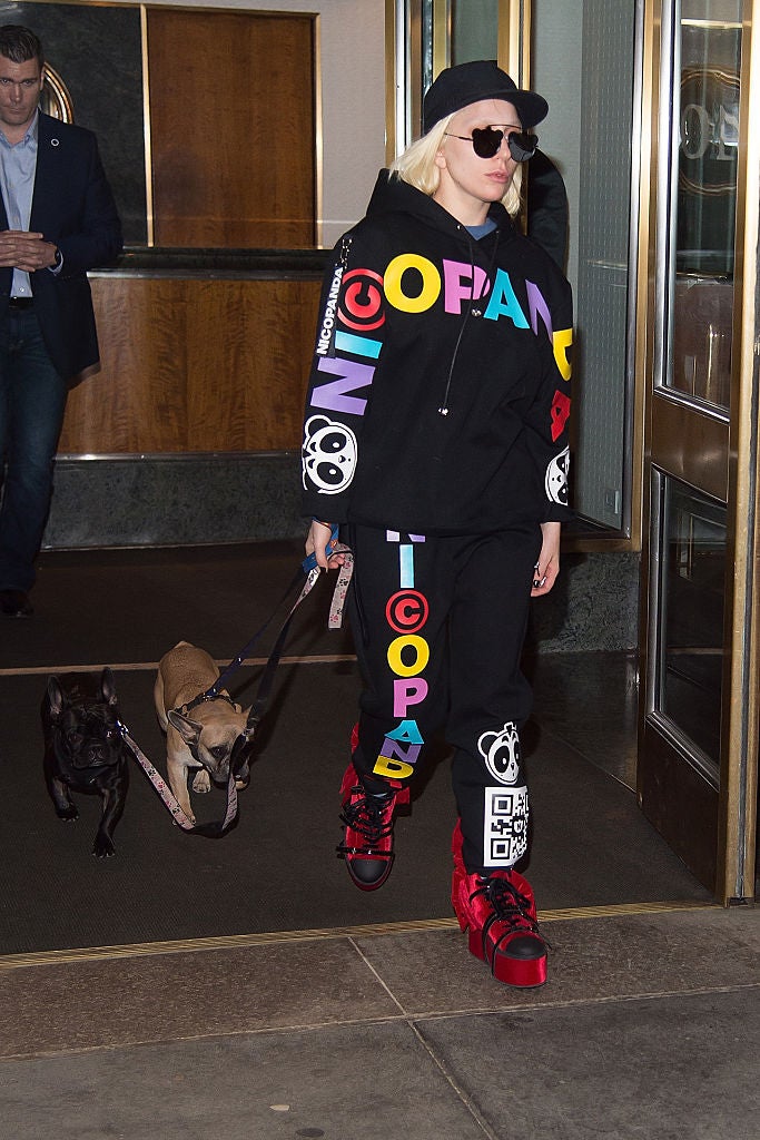 Lady Gaga con sus perros Miss Asia y Koji en Nueva York