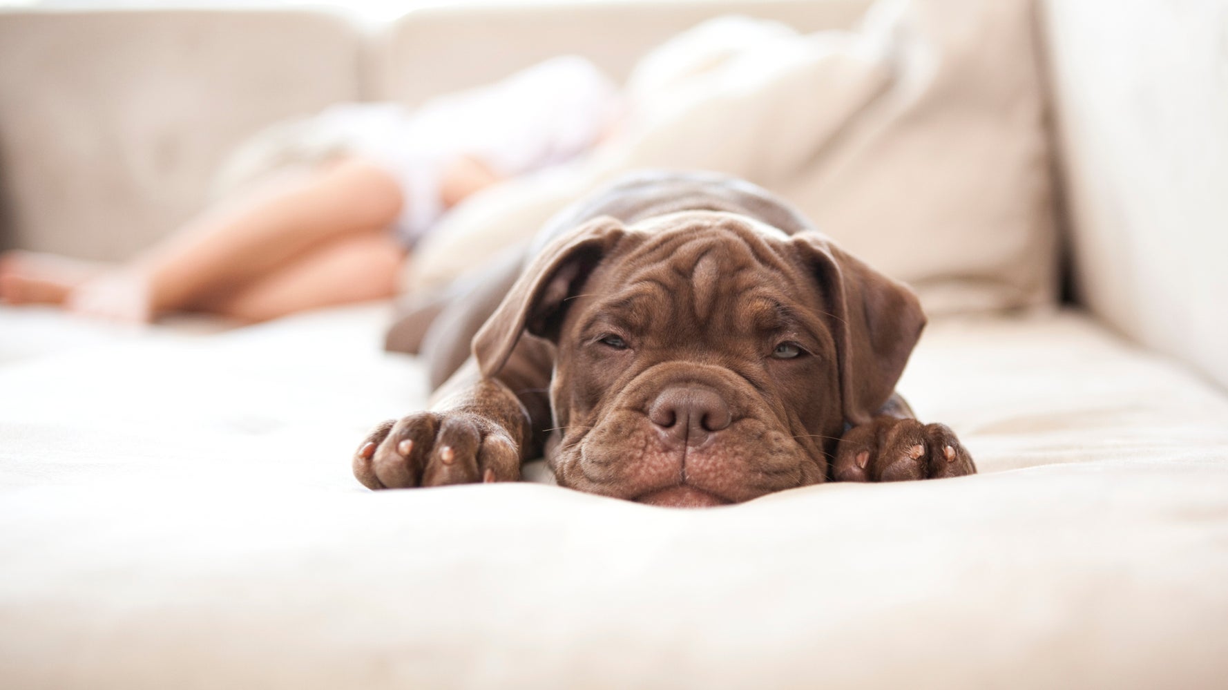 5 Ways To Tackle Our Tiredness When We're All Doing So Little - Vimarsana News