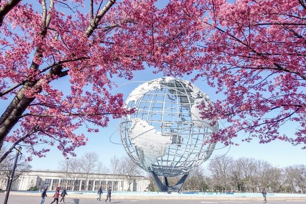 Cherry blossoms near the Unisphere at Flushing Meadows-Corona Park in New York City.