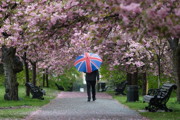 A canopy in Greenwich Park, London.