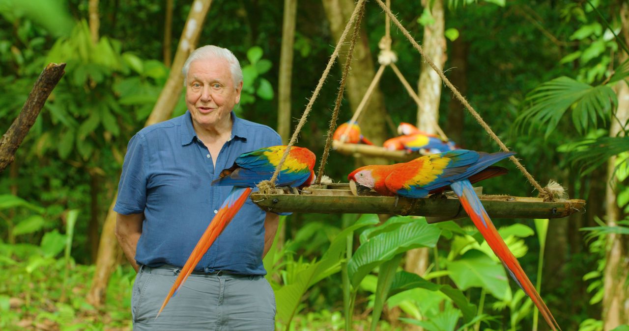 Sir David Attenborough on location with macaws in Costa Rica