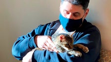 Los Angeles Man Reunites With Cat Who Vanished 15 Years Ago 2 603921002700005c038c578e