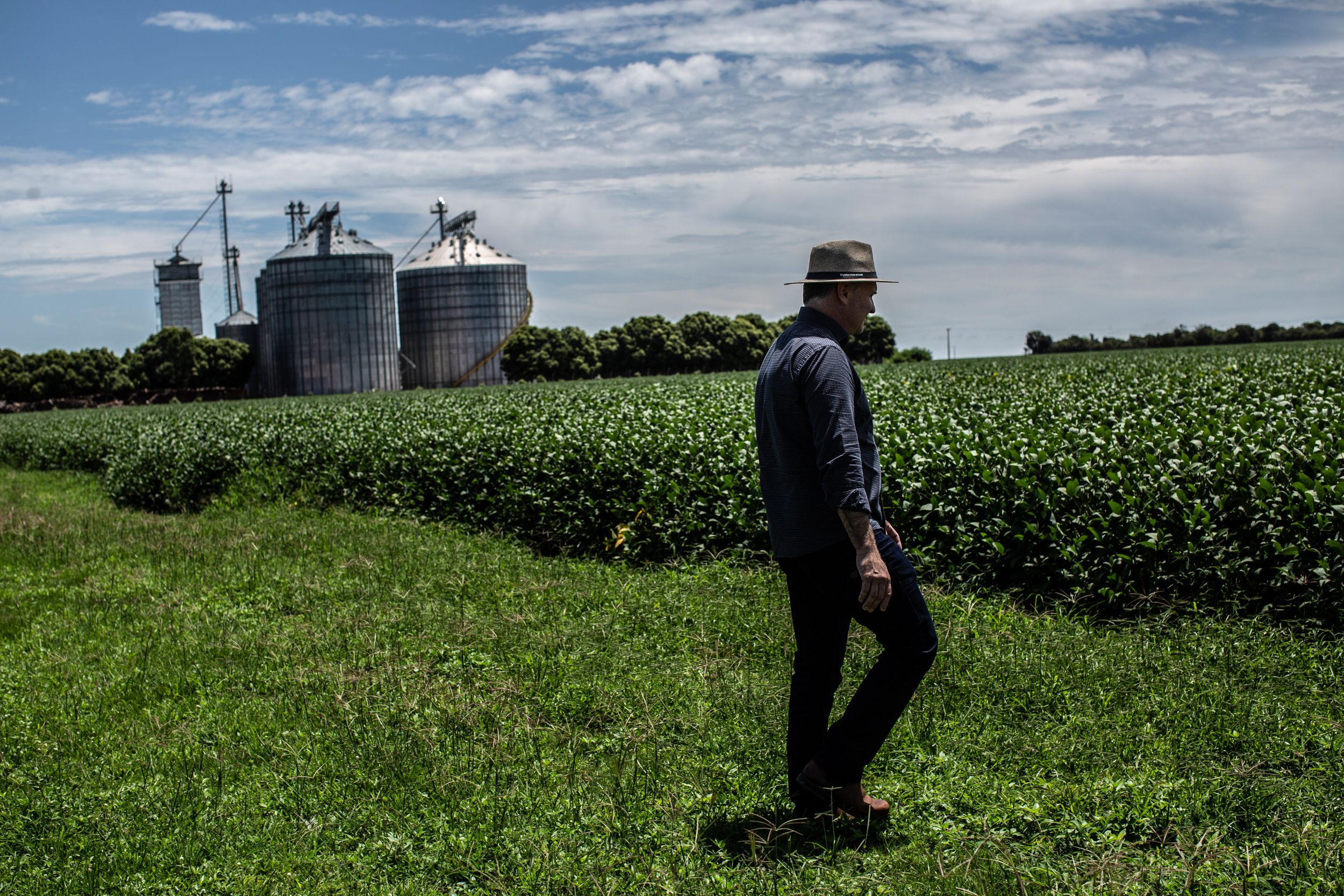 Juliani inspects his soybean farm in the Cerrado.