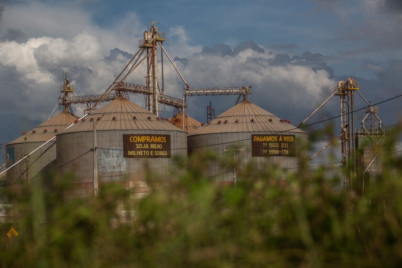 Silos sit scattered throughout the Bahia municipality of Luís Eduardo Magalhães.