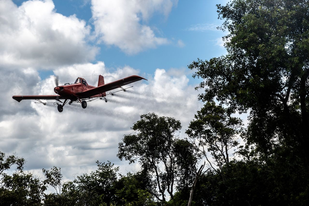 An airplane sprays over soy fields behind native trees in the Cerrado.