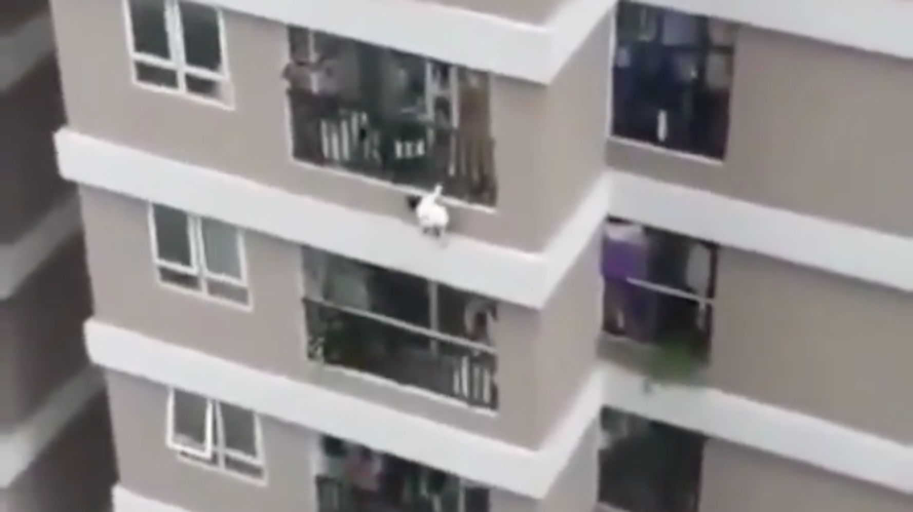 Toddler survives falling from the balcony from the 12th story, thanks to ‘hero’ delivery manager