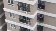 Toddler Survives Fall From 12th-Story Balcony Thanks To ‘Hero’ Delivery Driver Toddler Survives Fall From 12th-Story Balcony Thanks To ‘Hero’ Delivery Driver