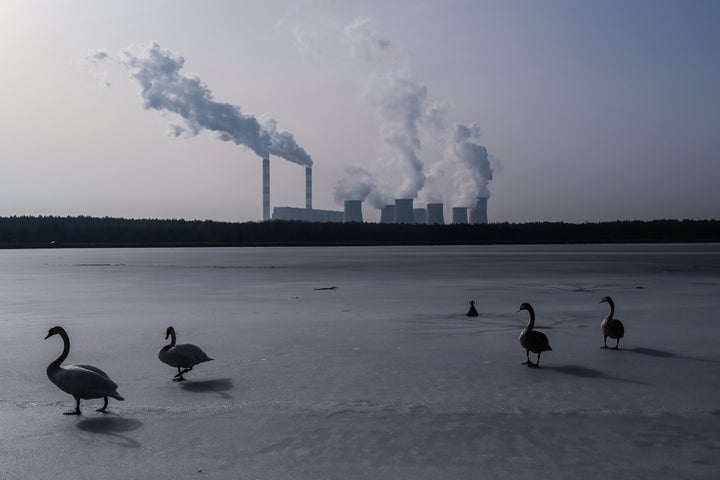 Swans walk on a frozen lake as steam and smoke rises from the Belchatow Power Station in Rogowiec, Poland. The plant, with an output of 5,472 megawatts, is the world's largest lignite coal-fired power station, and emits approximately 30 million metric tons of CO2 per year.