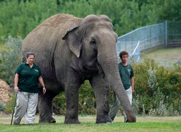 Lucy the elephant with her handlers, circa 2009. A Supreme Court dismissed a case about her treatment in 2019.