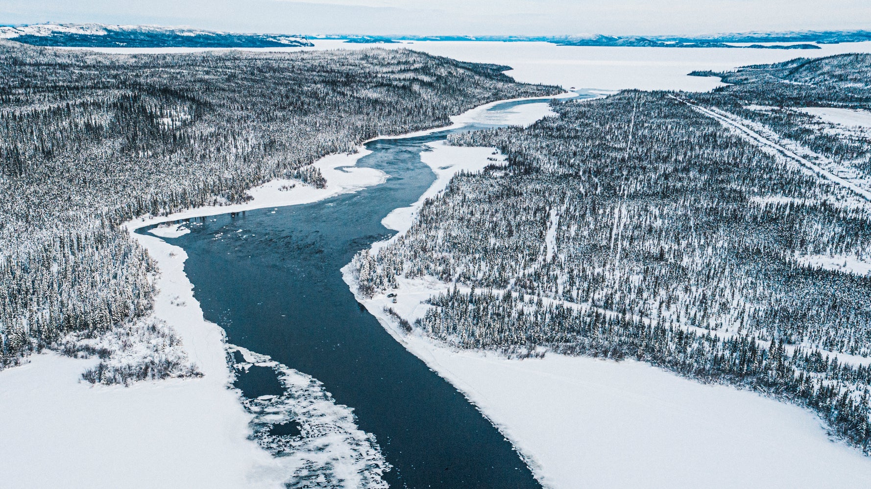 The World's Largest Intact Forest Is In Danger. Here's How To Save It.