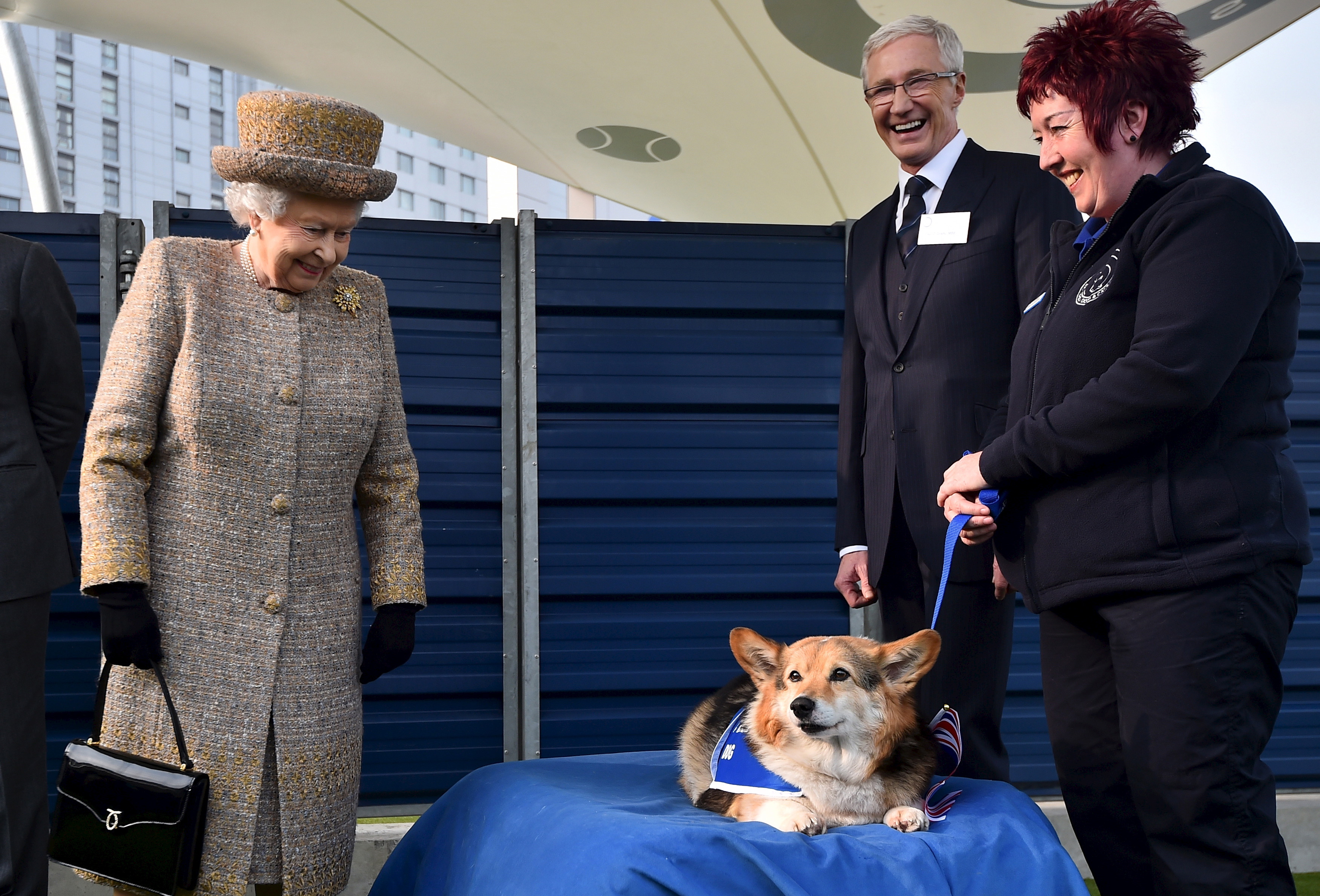 Elizabeth II adopte deux corgis réputés pour leur loyauté