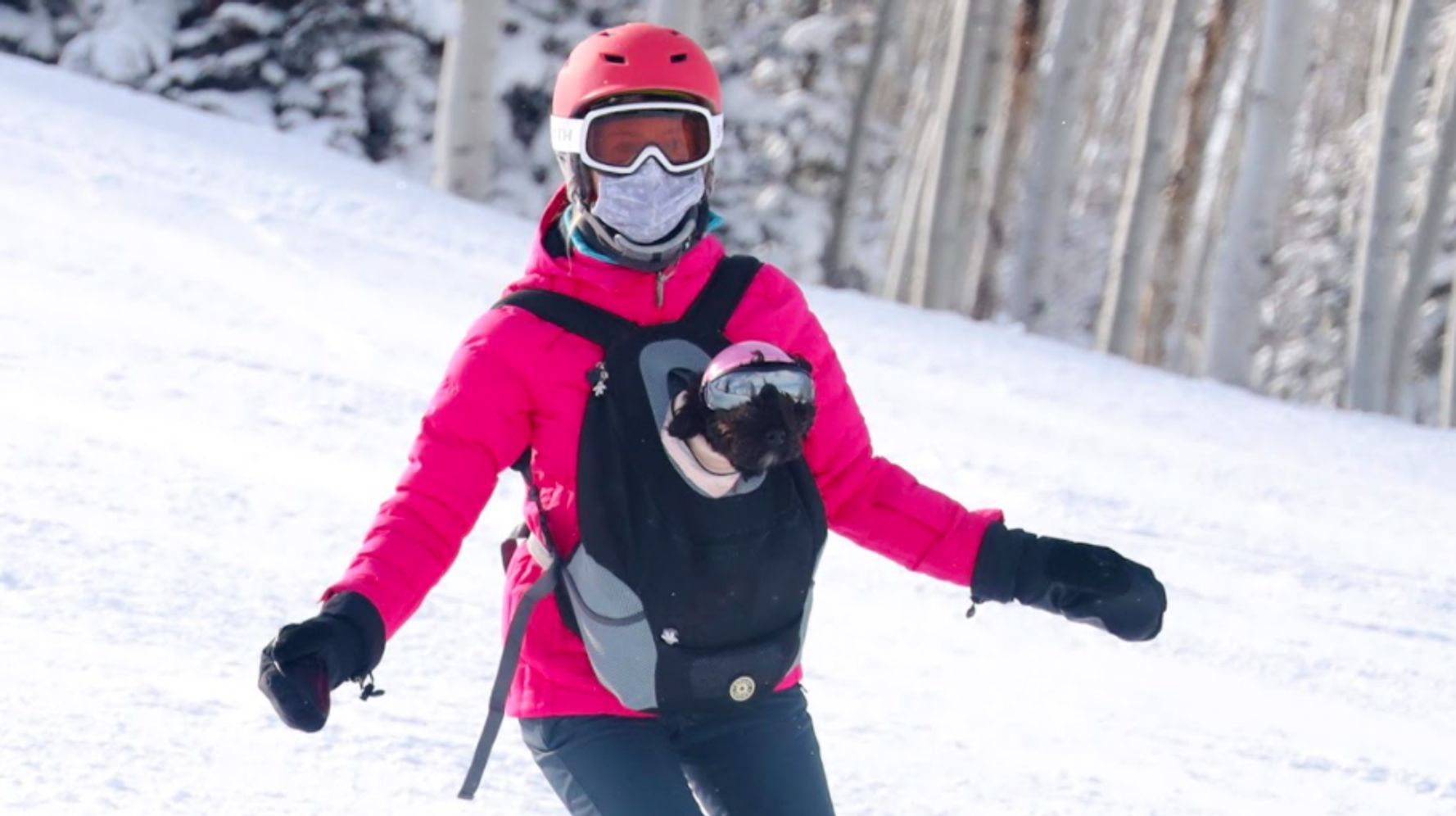 Here’s How I Fought For My Dog To Become The First Downhill Skiing Service Animal