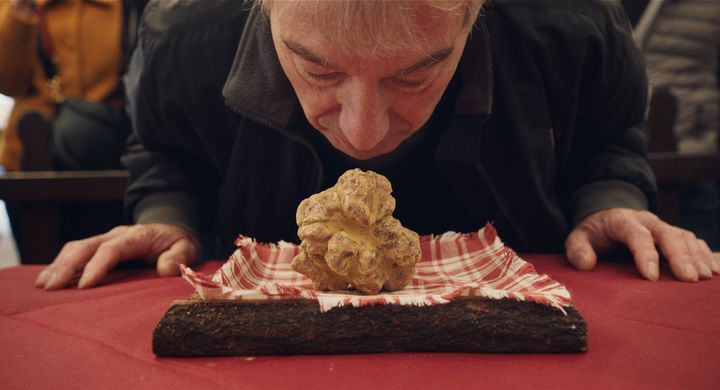 The white Alba truffle is found in the Piedmont region of Italy.