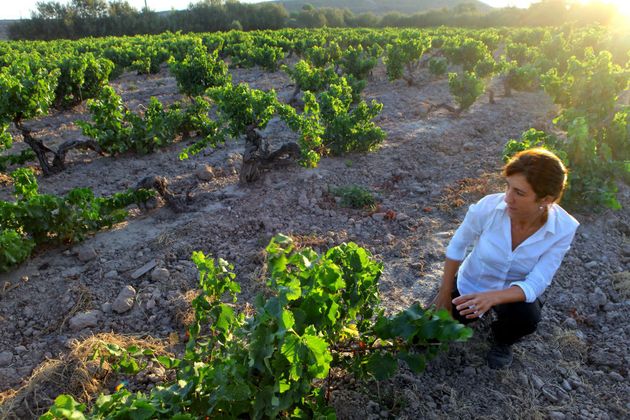 Una viticultora en un viñedo de La