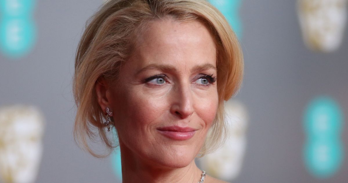 Gillian Anderson Has Cheeky Response To Alec Baldwin's 'Switching ...