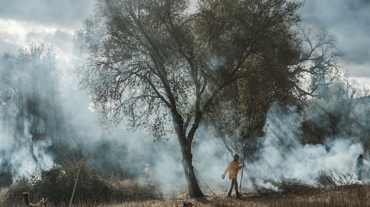 Smoke lingers among the oak trees after two large brush piles were burned. Fire smoke also has a purpose in traditional Native land management: By reflecting sunlight, it cools nearby streams and rivers and promotes aquatic life.