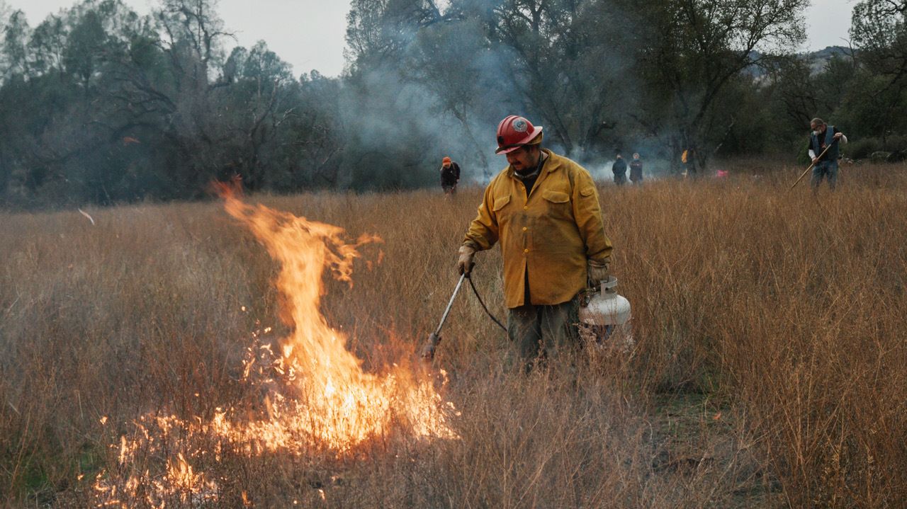 Officials from Cal Fire and the Forest Service were present at the burn, marking a shift in the way the state’s land managers are imagining fire “fighting.”
