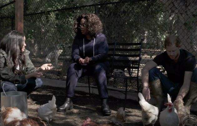 Meghan and Harry chilling with Oprah and their flock.