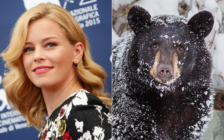 BELLE,ANDREW - Black Bear - Music