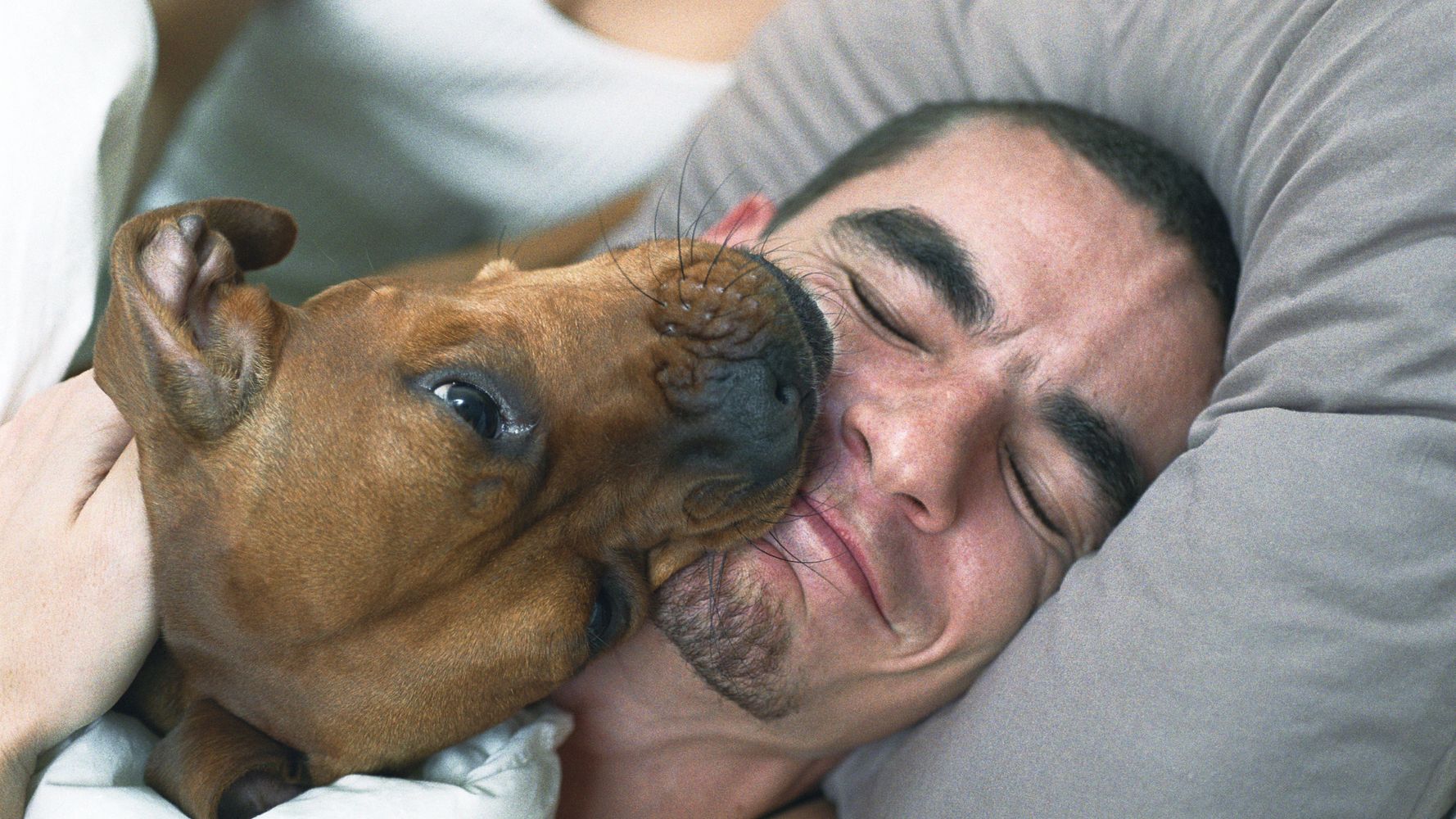 Detector Ausencia Círculo de rodamiento Por qué no deberías dejar que tu perro te lama la cara | El HuffPost Life