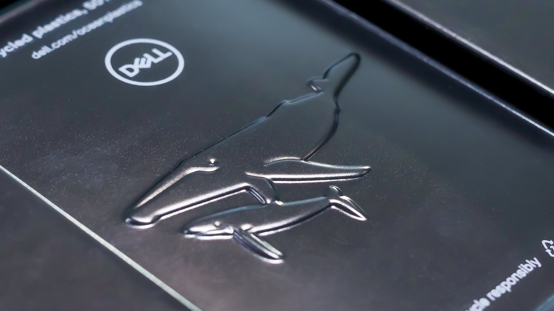 梱包材に クジラ が描かれた意味は サステナブルなpcを選ぶために私たちができること ハフポスト 梱包材に クジラ が描かれた意味は サステナブルなpcを選ぶために私たちができること ハフポスト