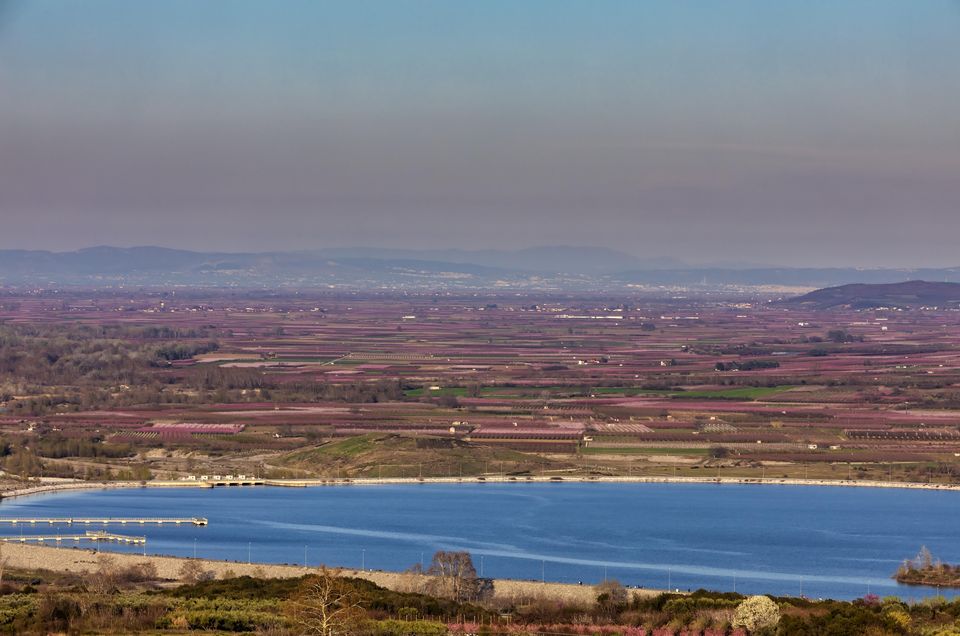 Πώς οι ανθισμένες ροδακινιές της Ημαθίας έγιναν δημοφιλής προορισμός για γαμήλια