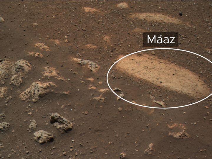 A rock, named “Máaz” (the Navajo word for Mars), currently under study by NASA’s Perseverance Mars rover.