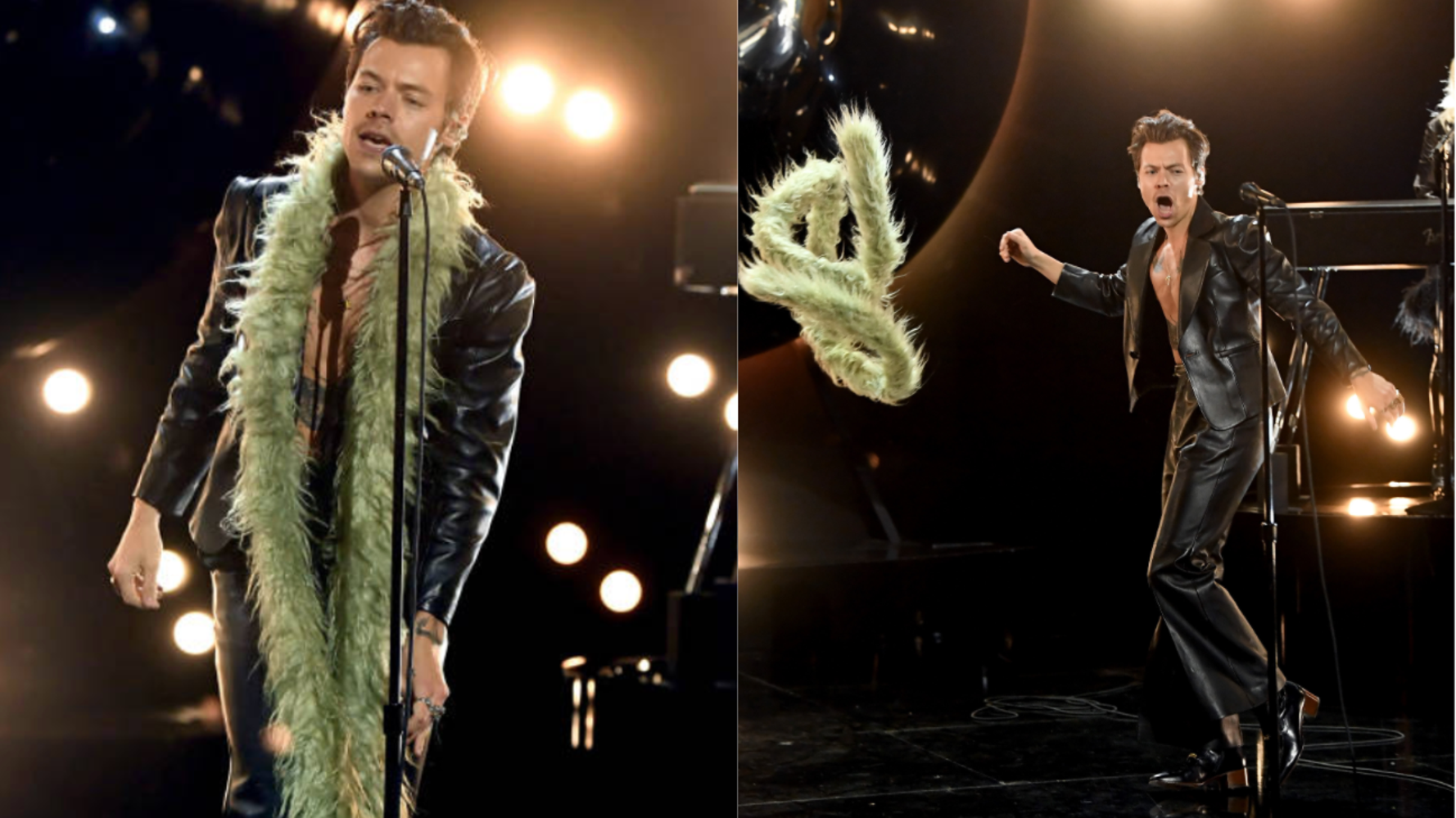 Shirtless Harry Styles Opens 2021 Grammys Rocking Green Boa Visualassembler