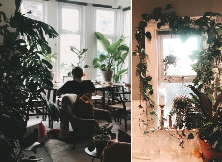 Left: Jacob surrounded by plants in his living room. Right: plants creep around the windows of his bathroom.