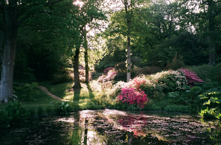 "This was taken during an evening walk in May 2020 at High Beeches Gardens in Sussex. The garden is usually open to the public but was closed at that time. It looked so beautiful, I felt sad no-one else was able to appreciate it, but realised how lucky I was to have it all to myself. I will always remember it because in that moment, the garden was looking so magical and tranquil, I was able to forget about the difficulties of lockdown and just enjoy it." – Emily Bray, 29, West Sussex.