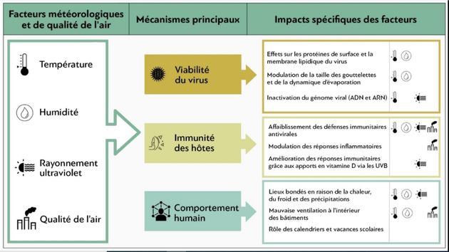 Exemples de mécanismes par lesquels les facteurs météorologiques et de qualité de l’air pourraient influencer les infections virales respiratoires