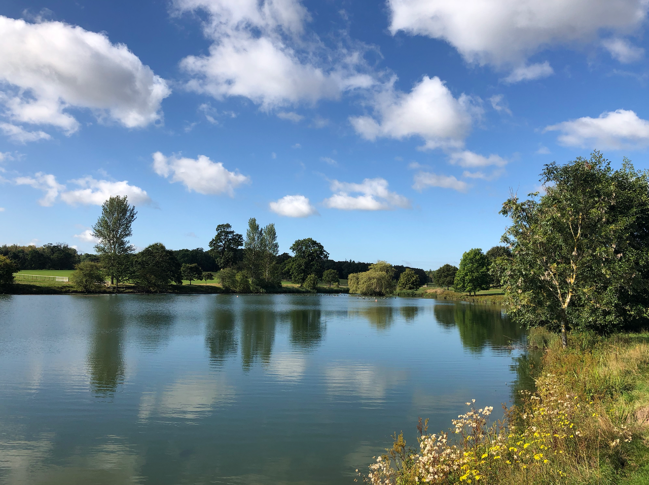 Bigfoot festival takes place at Ragley Hall in the Warwickshire countryside, above, where the plan is to make campsites as distanced as possible