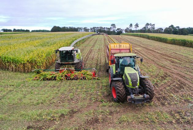 Des associations environnementales avaient saisi le Conseil d’Etat en 2020  (Photo d'illustration : un tracteur près d'Arzal, dans le Morbihan, le 28 septembre 2020) 