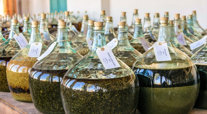 Maceración de las hierbas del vermut Padró.