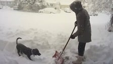 Snow-Shoveling Woman's Bad Day Gets Worse In An Instant 2 605811ba2500001e0c1d8f93