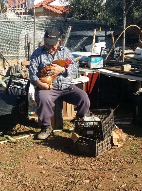 Στον ελεύθερό του χρόνο, ο κ. Δημήτρης φροντίζει τις κότες του, στο κτήμα του στο Κορωπί.