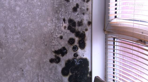 This Council Housing Has Mould So Severe It Looks Like Fire