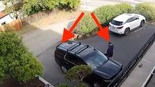 Dad Finds Out What Else Rolls Downhill After Popping Open SUV's Trunk 2 605976d7390000eb0deb1d9f