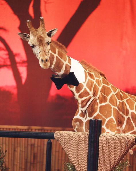 Stanley la girafe au Spike TV's 