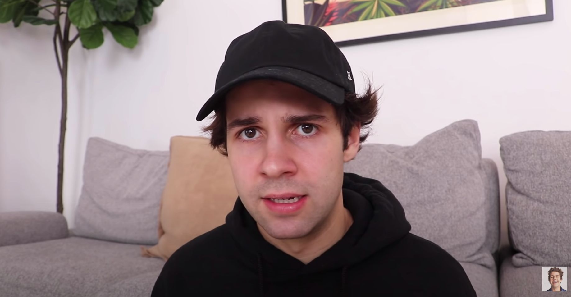 David Dobrik Nudes