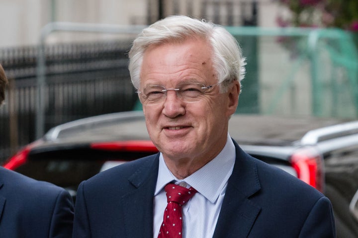 Tory former cabinet minister David Davis