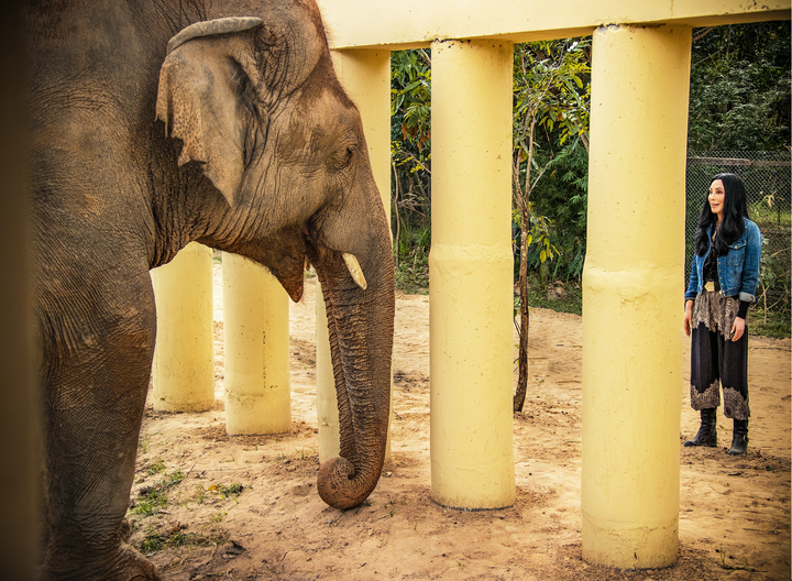 Cher with the elephant Kaavan in November 2020.